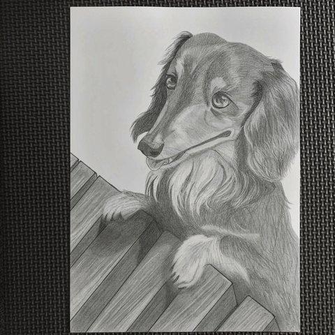 犬と縁側の鉛筆画