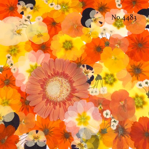 ♡new♡作家様必見♡押し花MIXセット♡押し花セット