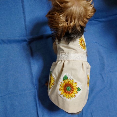 着せやすい犬服🌻ひまわり🌻のアップリケワンピース・スモックをオーダーメイドで！