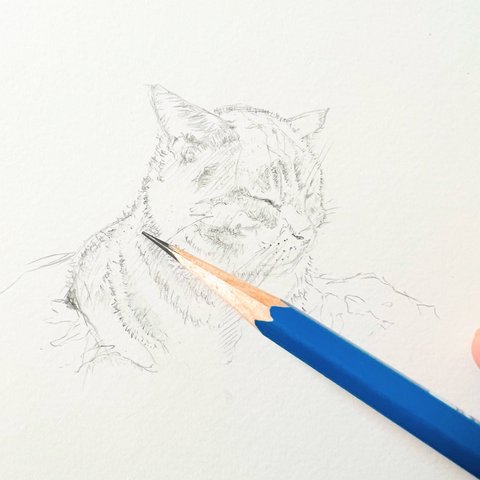 愛猫さんの絵画描きます