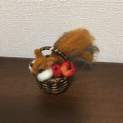 カゴの中におさまってしまったりす