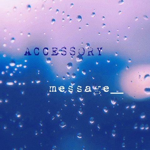 accessory＿＿ message(･´`(●)*