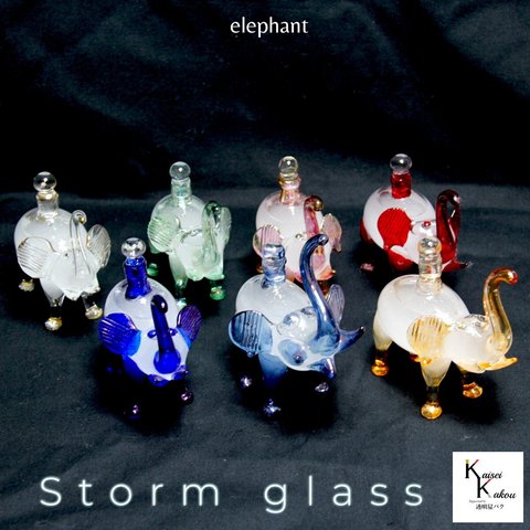 ストームグラス 「ゾウさんのストームグラス 1体 」ストームグラス エジプシャングラス 象 エレファント ボトル