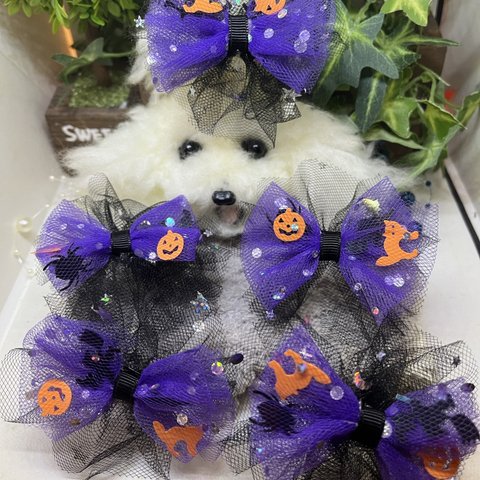 わんこリボン🎀バレッハロウィン🎃👻