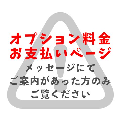 オプション料金お支払いページ(300円分)