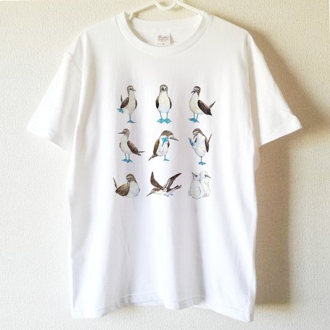【送料無料】アオアシカツオドリの図鑑風Tシャツ～子供から大人までみんなで使える13サイズ～