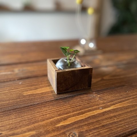 woodcube ボールガラスセット