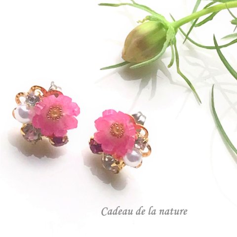 秋桜（コスモス）のビジューピアス [赤紫]