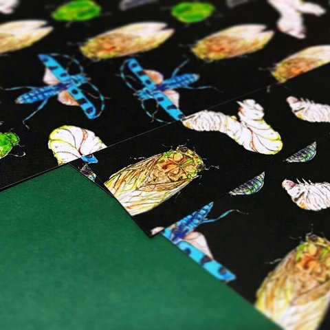 Black chic insects - Wrapping paper