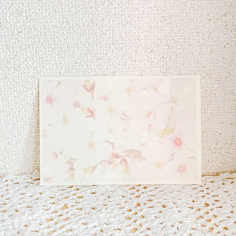 桜たくさんポストカード　p_00026