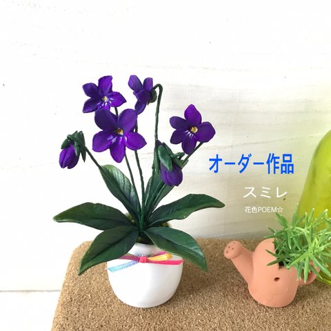 【オーダー作品】🌼粘土花・可愛い野スミレ🎶