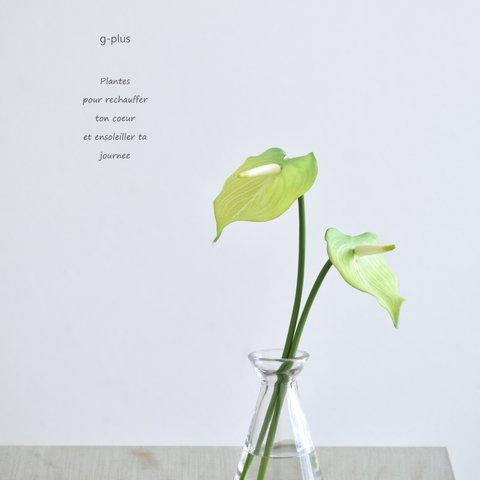咲き続けるミニアンスリューム(グリーン×２本)　マジカルウォーター　癒しのフラワーインテリア　アーティフィシャルフラワー