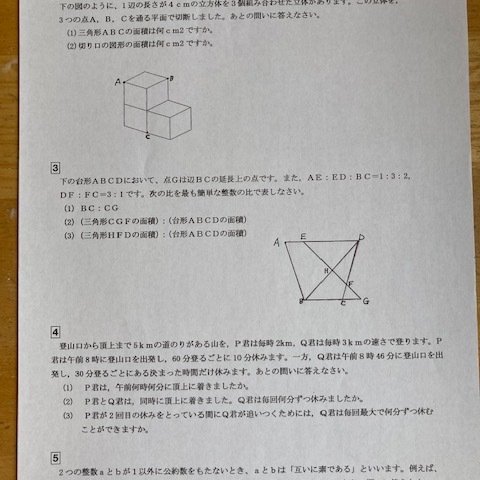 中学受験 東京都市大学付属中学校：2025年新合格への算数プリント◆特訓プリント付き