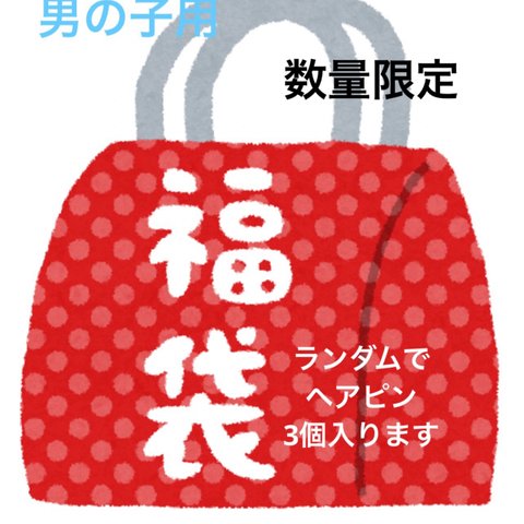 【数量限定】男の子用ベビークリップ福袋　ランダム3個入り