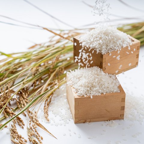 令和5年度精米🌾長崎県認定特別栽培米ひのひかり30㎏🌾宮下さんちのおいしいお米
