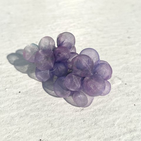 Fresh Grapes