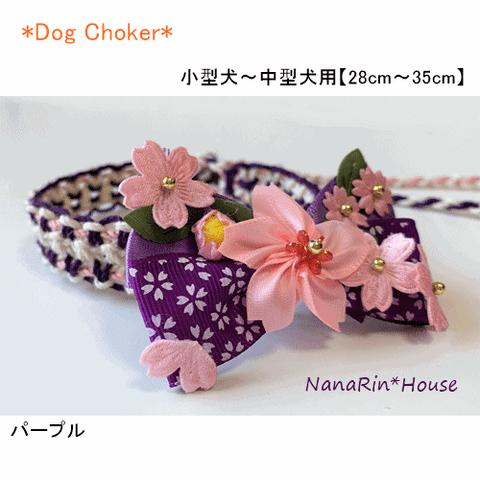 【再販】完成品（小型犬～中型犬用）サクラチョーカー【特大飾り】