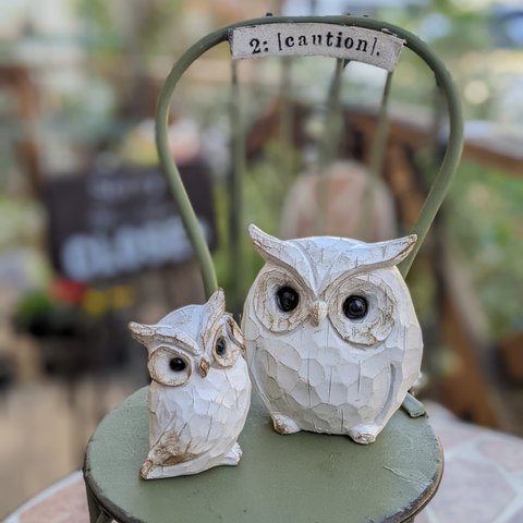 《再入荷》🦉フクロウくんの親子です‥🤍🦉