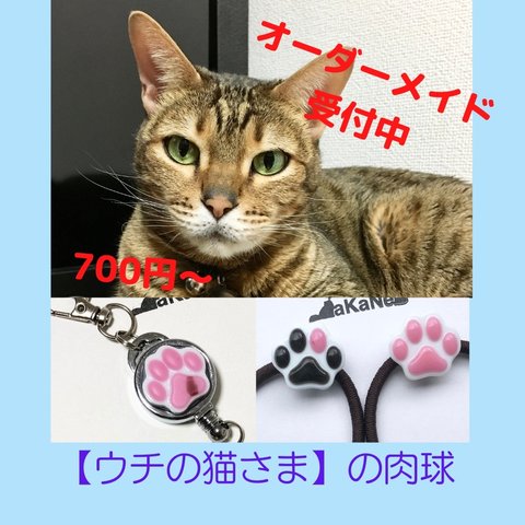 【ウチの猫さまの肉球】（大サイズ）オーダー　専用ページ