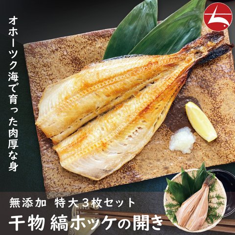 (b012-02)ロシア産 無添加 干物 縞ホッケ開き 特大サイズ(1枚約250g) 3枚セット【全国送料無料】