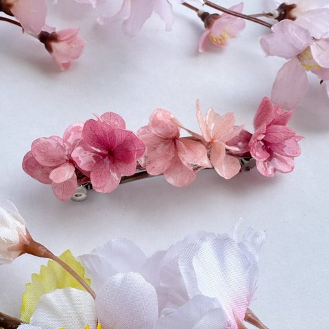 桜色🌸な本物の紫陽花 が咲く バレッタ 髪飾り ˚⊹ ⁺‧