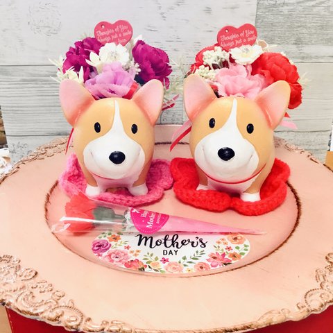 限定3個3980→3680円キャンペーン😊✨母の日💐スマイル😁コーギーちゃん🐶