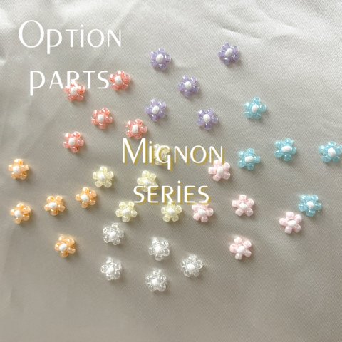【Option】 Mignon series