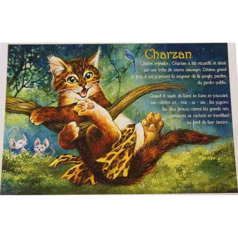 【 セブリーヌ ☆ ポストカード ２枚セット 】 Charzan ターザン 猫 ネコ キャット はがき Chats enchantes 94118PC