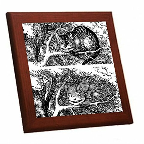 『 消えゆくチェシャ猫 』の木枠付きフォトタイル（アリスシリーズ） (A)