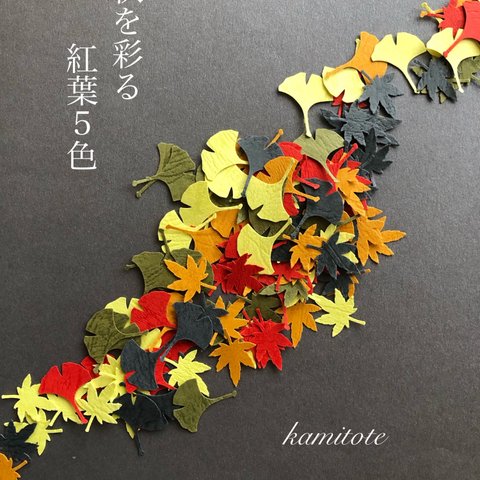 もみじといちょうの紅葉セット