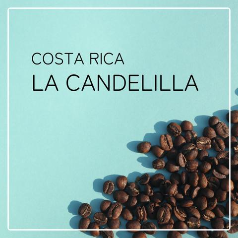 コスタリカ ラ・カンデリージャ / Costa Rica La Candelilla コーヒー 100g