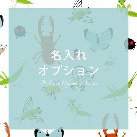 名入れオプション「虫たちの一日」