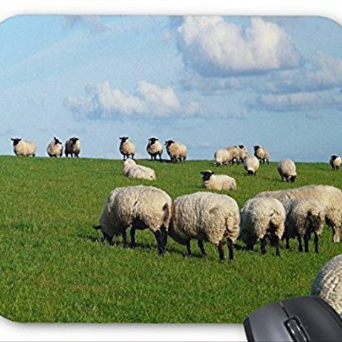 可愛い羊のマウスパッド：フォトパッド（世界の家畜シリーズ） (A)