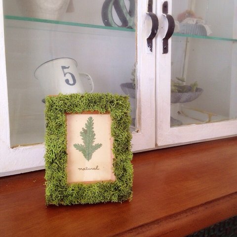 【再 …販】mini photo frame♡mossmoss