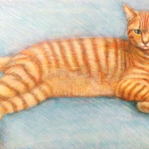 Tabby Cat at ease 寝そべる虎猫、真作　アクリル、色鉛筆絵画