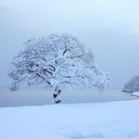 琵琶湖・雪の朝