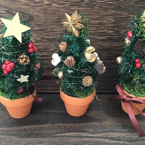 小さな小さなクリスマスツリー　〜植木鉢〜