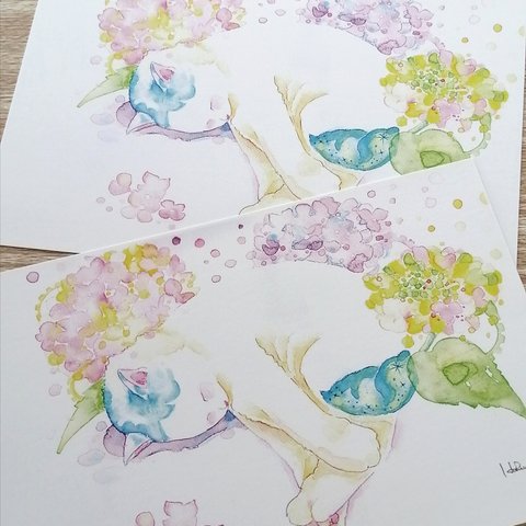 POSTCARD (6) 紫陽花と咲く猫