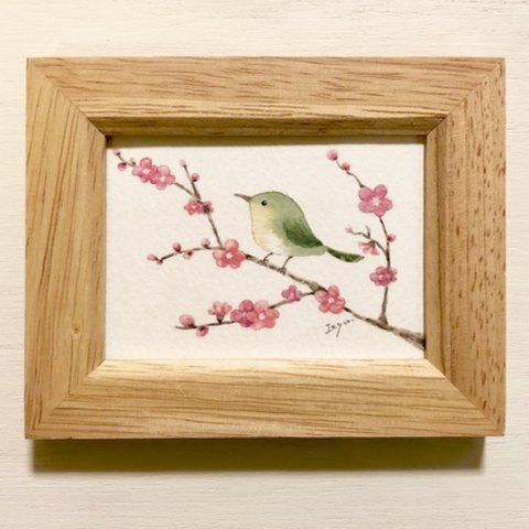 🐤透明水彩画「梅とうぐいす」 イラストミニ額  鳥　花　プチギフト 🐤