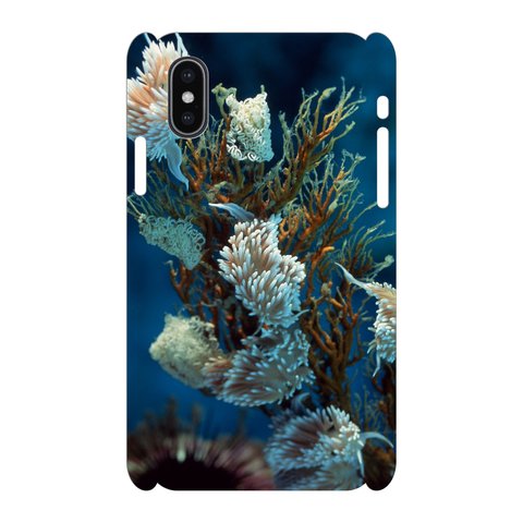 硬質iPhoneケース 海洋生物 KA-kaiy023
