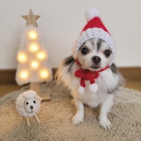 犬 SSサイズ サンタクロース 帽子 ♡ クリスマス 猫 ペット ぽんぽん ニット かぶりもの 被り物 小人帽 犬帽子 ニット帽