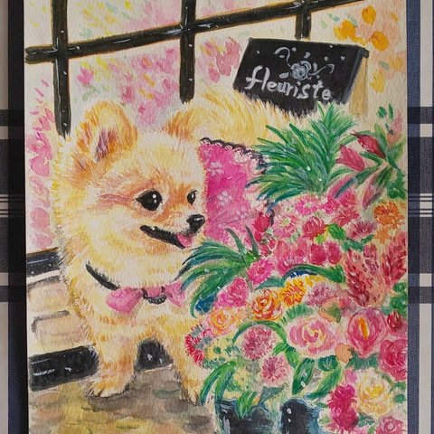 ❮水彩画❯春・花屋の店先　ポメラニアン♪