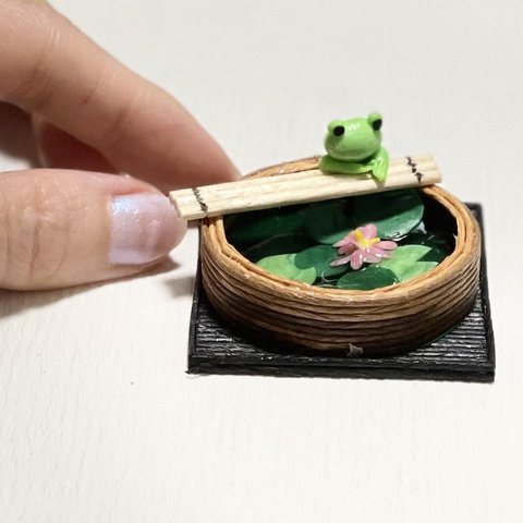 ミニチュア:睡蓮鉢とカエル miniature: biotope bowl& a frog