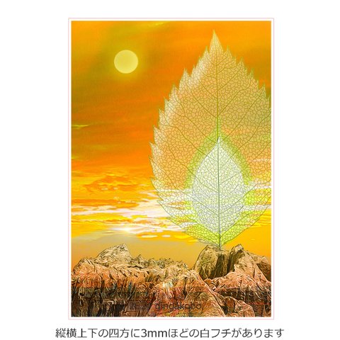 「花信風の通い路」　夕日　雲　ほっこり癒しのイラストA4サイズポスター　No.1087