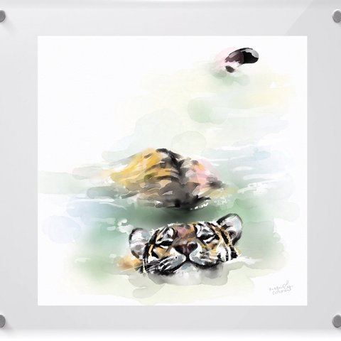 水彩画プリントアクリルフレーム　Swimming Tiger