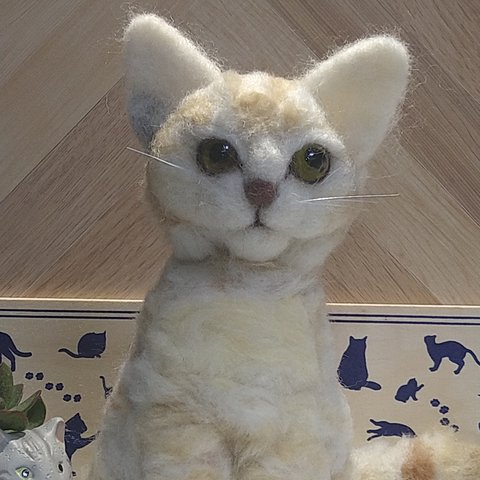 おすまし猫