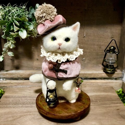 ネコぽんちょちゃん🐈【グリーンアイ】