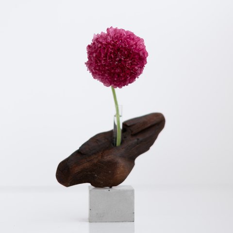 流木一輪挿し | driftwood flowervase | ane no.5