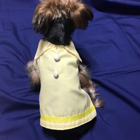 オーダーメイド♥カラーが選べるストライプのシャツ♥着せやすい犬服 男の子にもオススメ