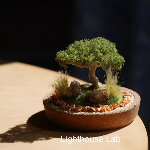 ジオラマインテリアminiature treeオリーブの木spread デザートローズ